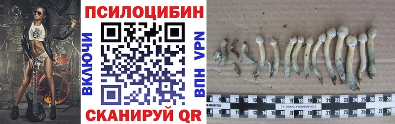 блэк спрут онион  Галич  Псилоцибиновые грибы мухоморы 